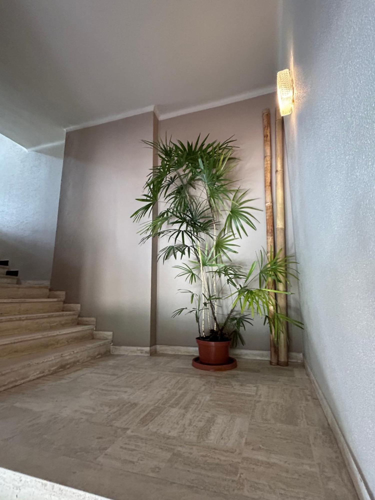 Premium Sea Front Apartment 르 라방두 외부 사진
